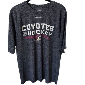 Reebok Arizona Coyotes Hockey Graphic Tee NHL Men’s Size L Gray